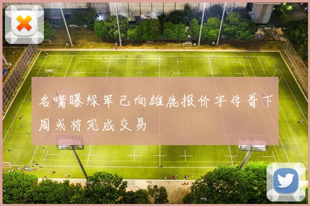 名嘴曝绿军已向雄鹿报价字母哥下周或将完成交易
