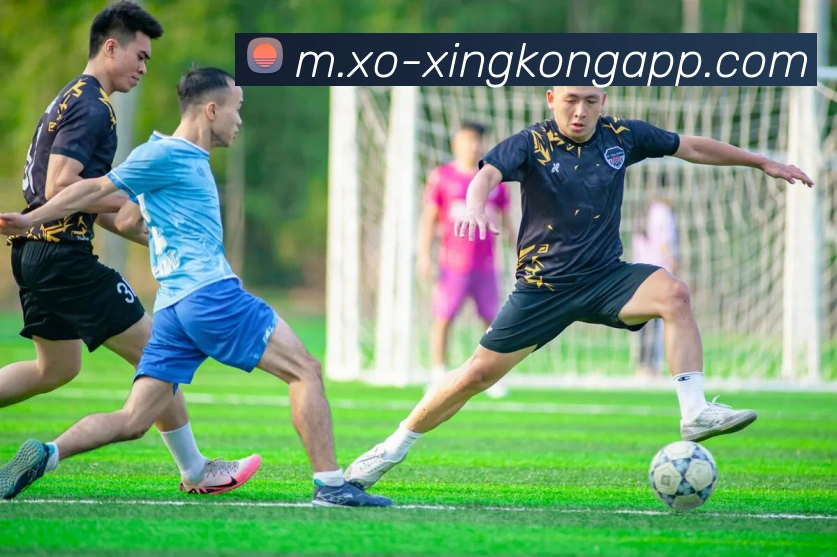 星空体育APP 高清赛事图